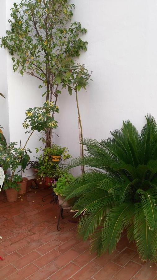 Patios Con Encanto Kordoba Bagian luar foto