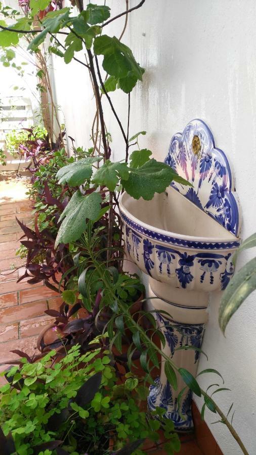 Patios Con Encanto Kordoba Bagian luar foto